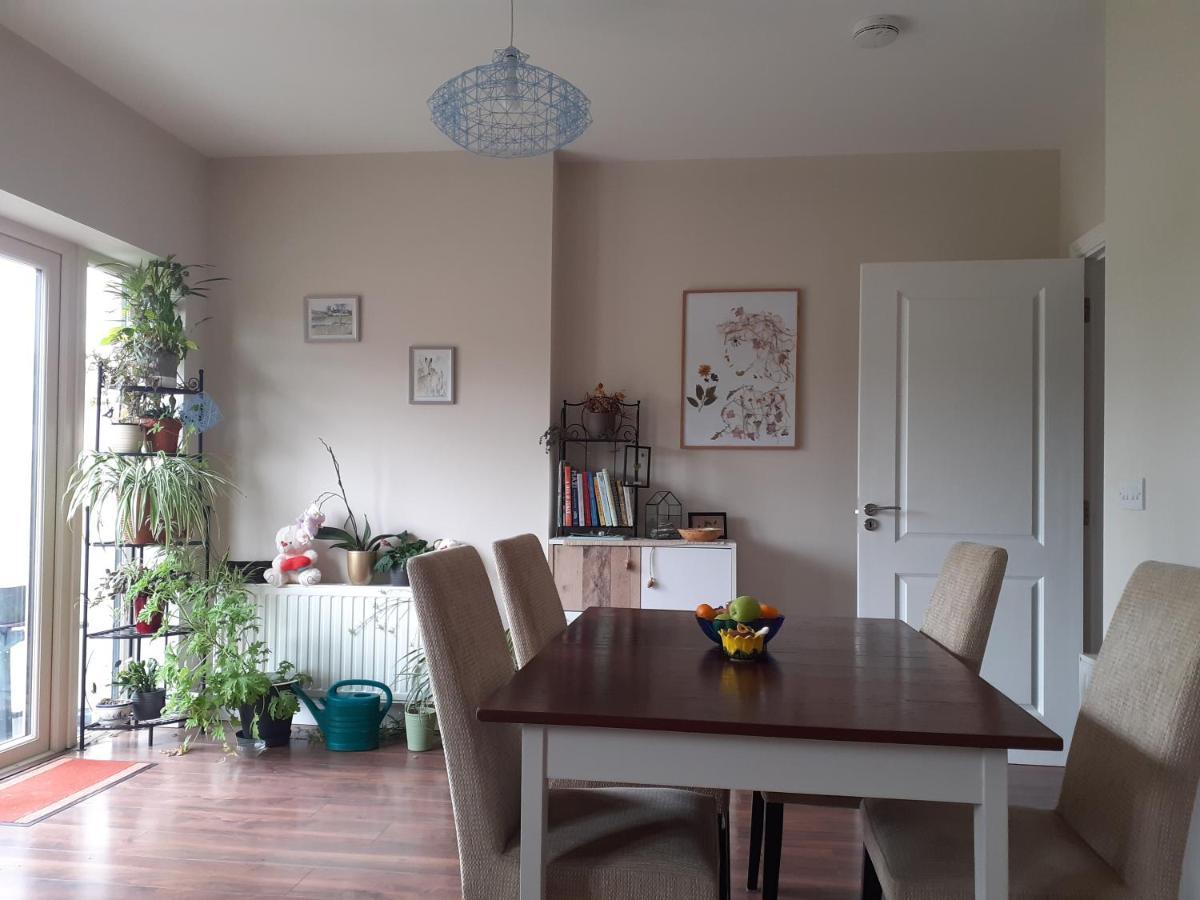 Ensuite At The Foot Of Dublin Mountains エクステリア 写真